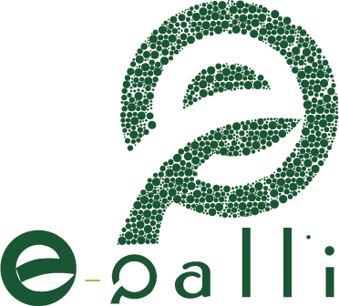 E-Palli International Conferences